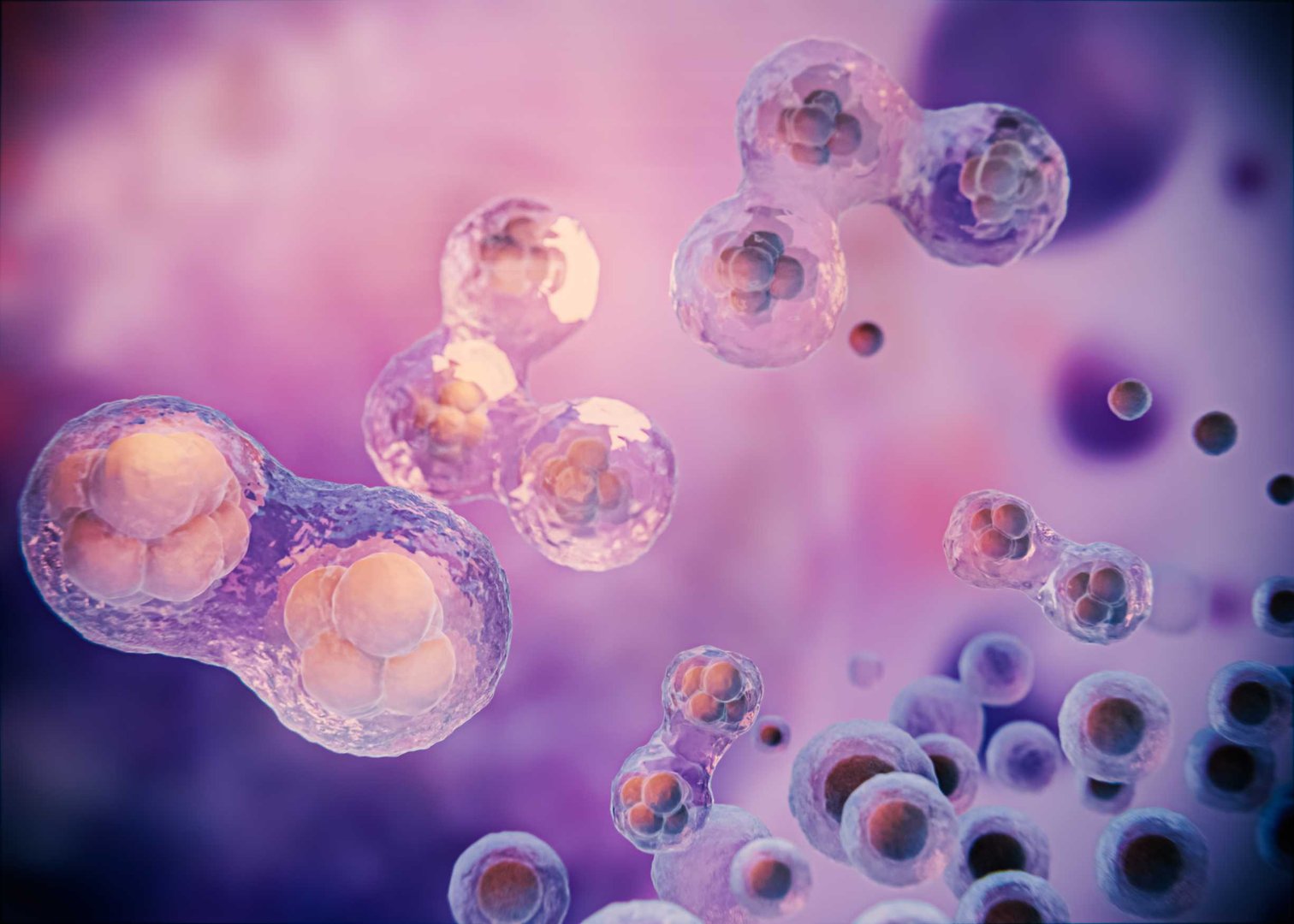 Stem Cell Therapy