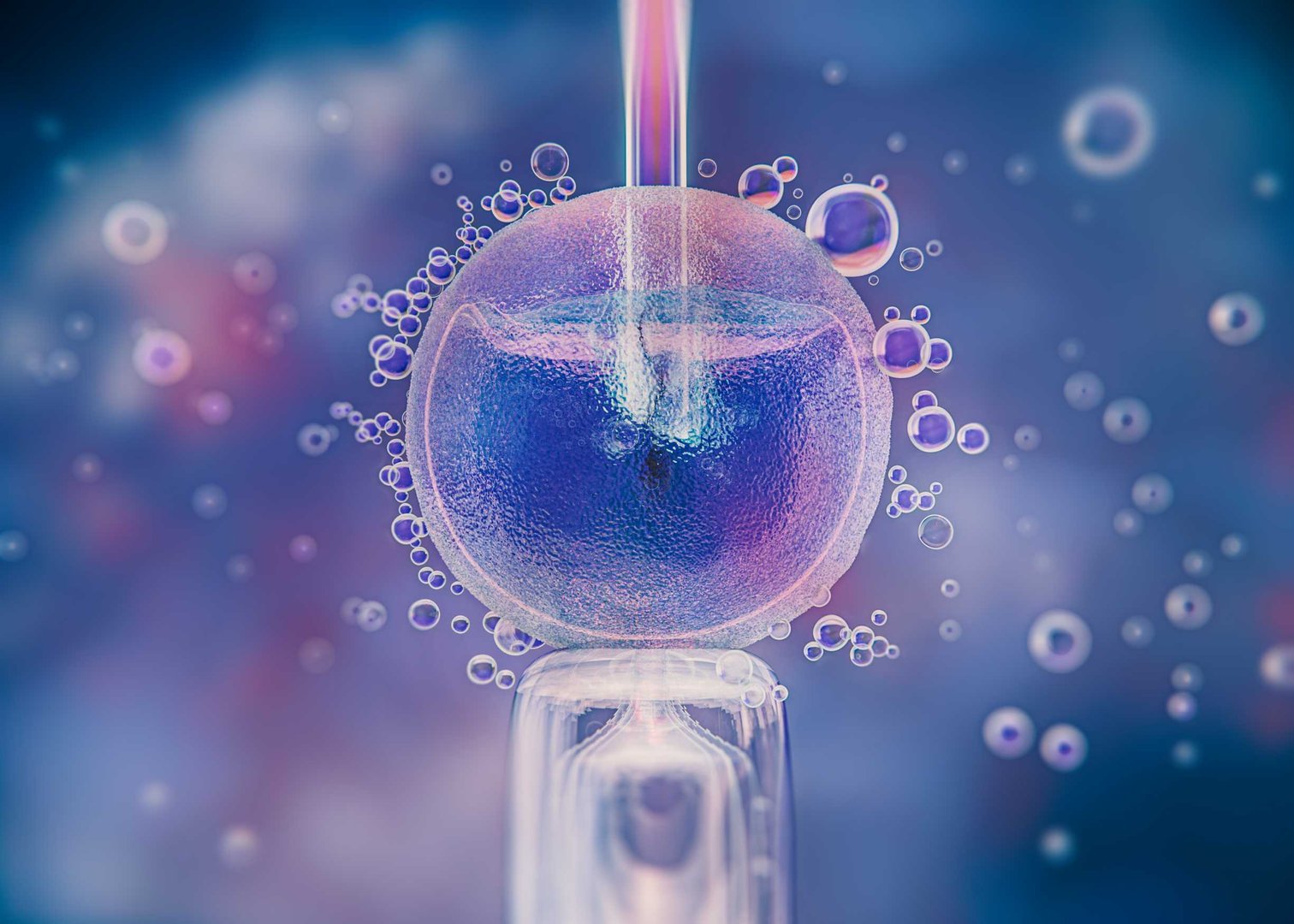 Stem cell preservation