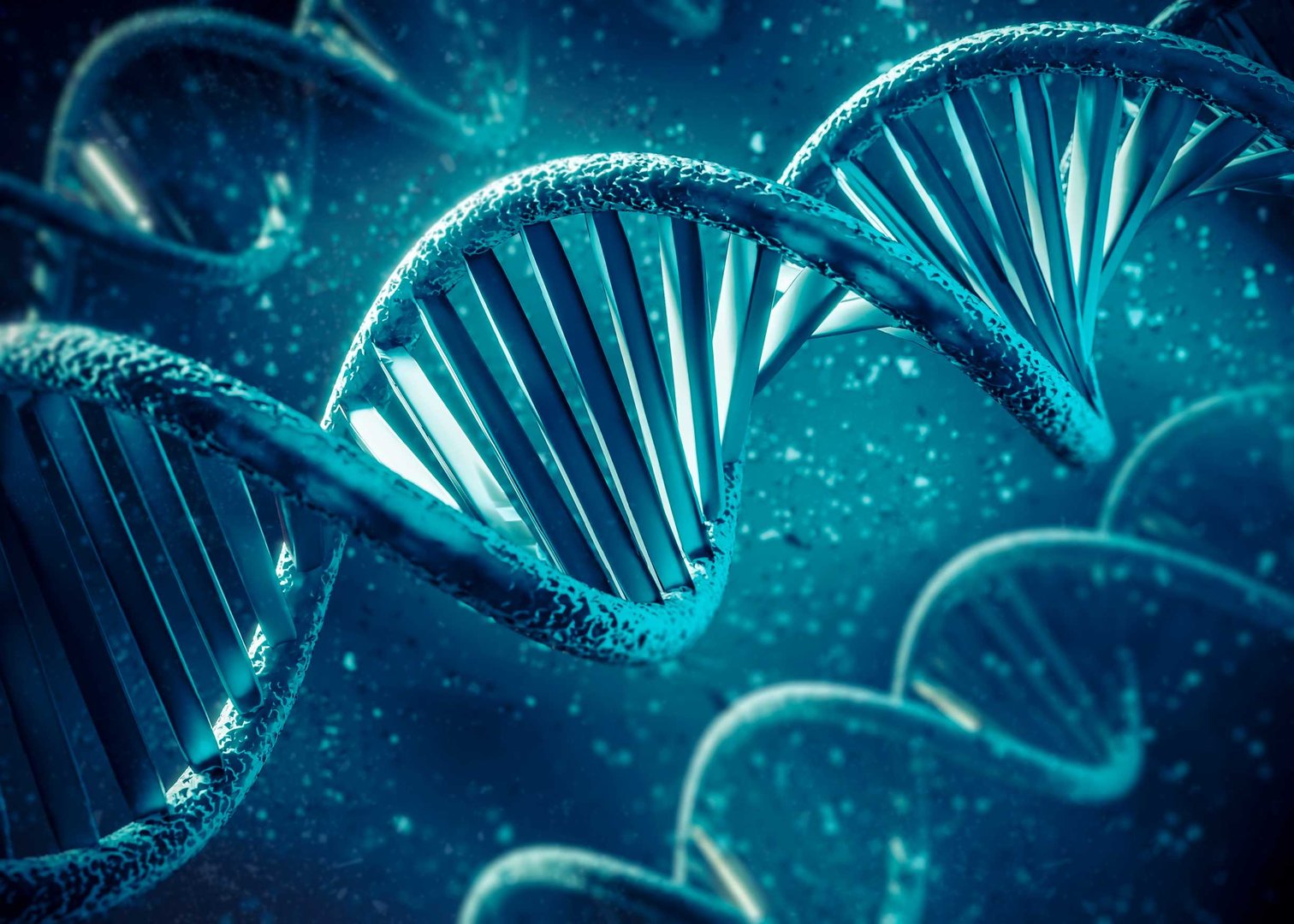 Stem Cell Therapy