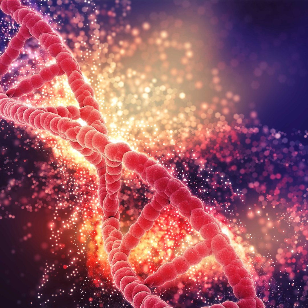 Stem Cell