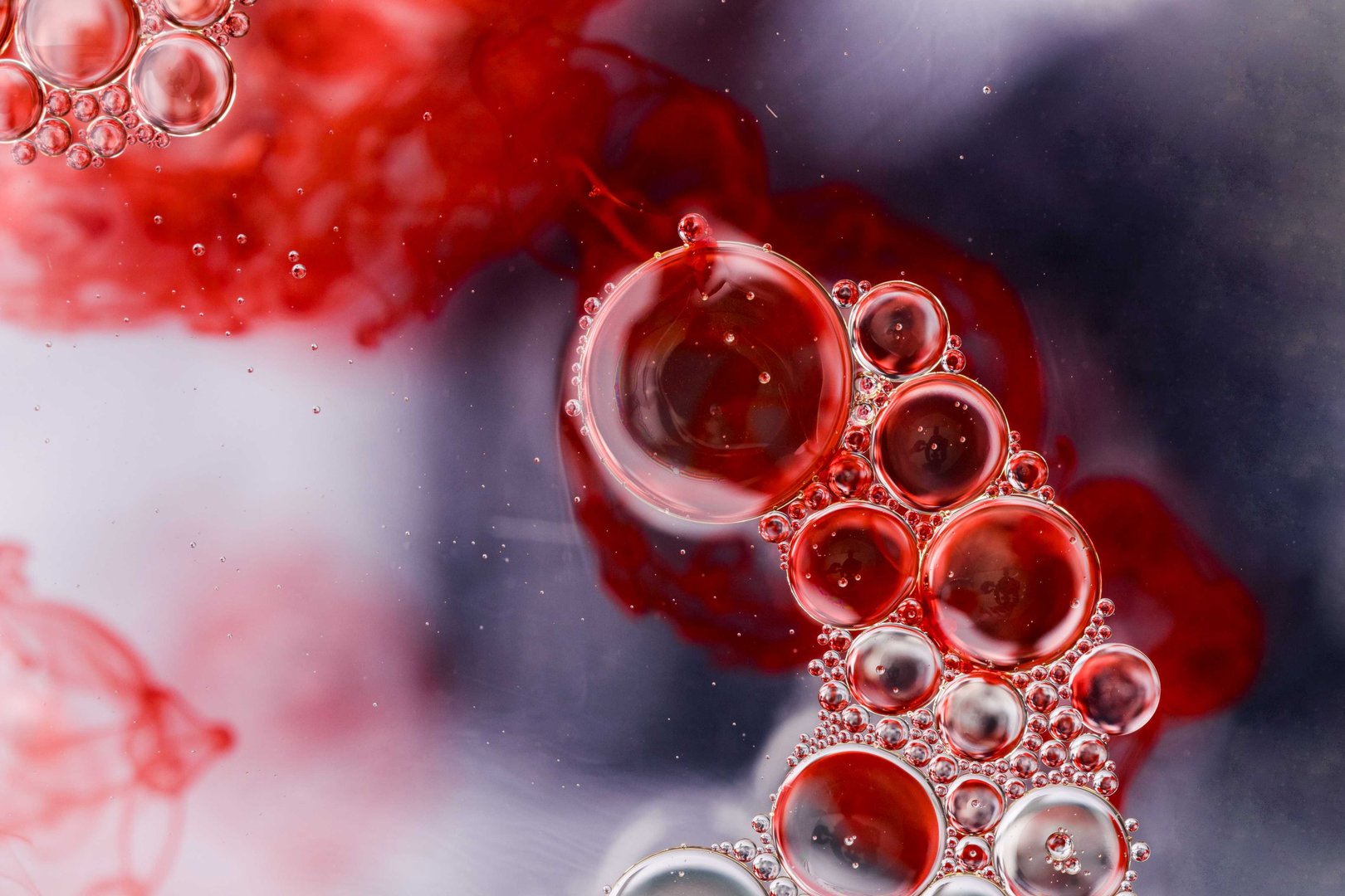 Stem Cell for Osteoporosis