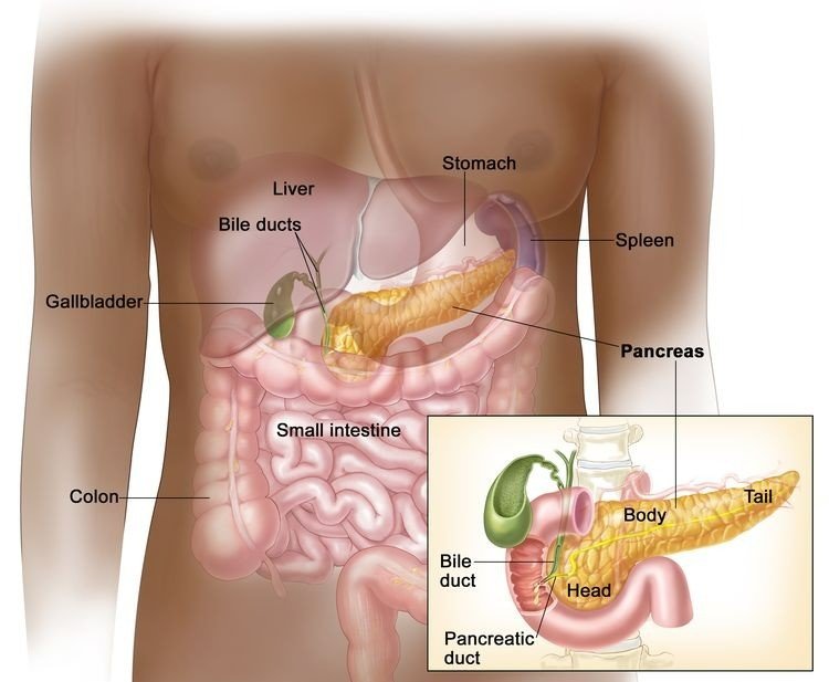 Stage 4 Pancreatic Cancer