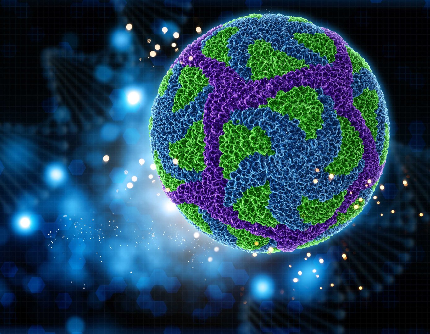 Blog Banner Image