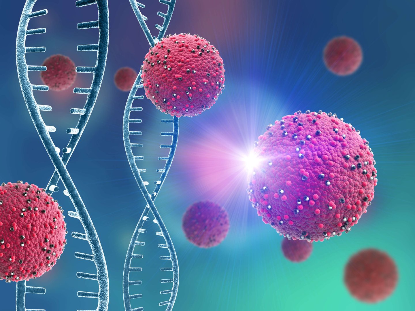 Stem Cell