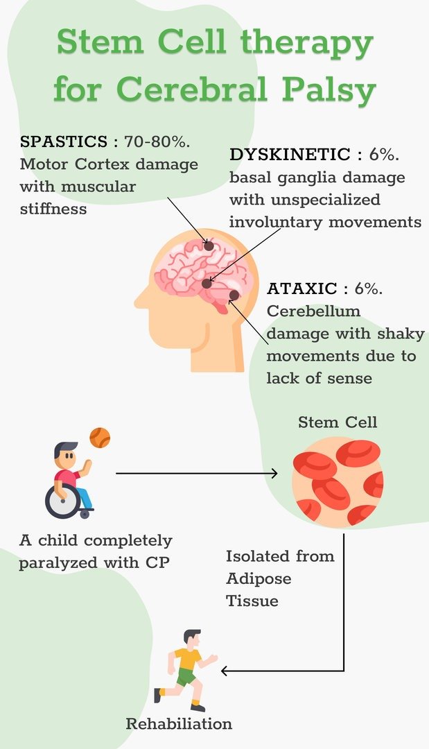 How Does Stem Cell Therapy for Cerebral Palsy Work