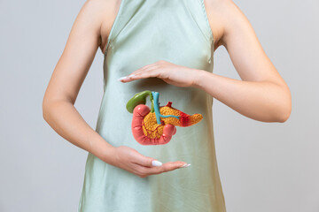 woman holding pancreas in the hands. Help and care concept