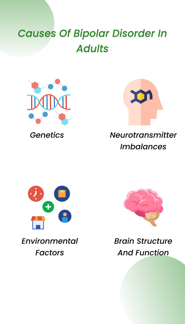 Causes of bipolar disorder in adults