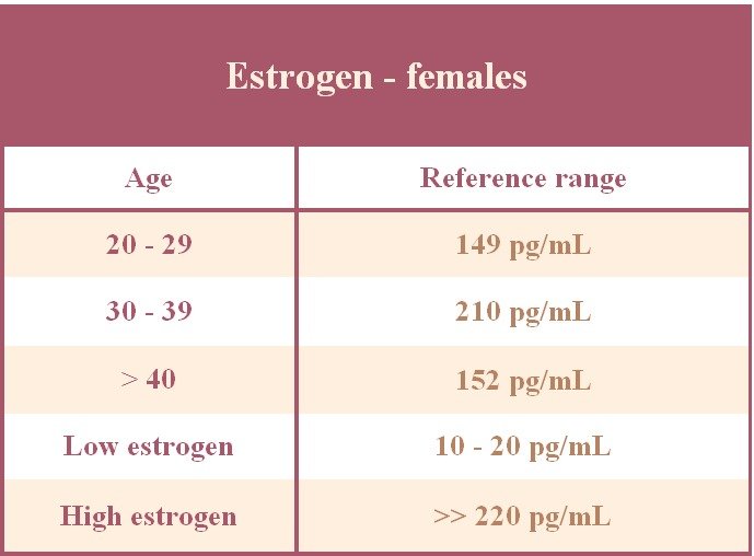 Estrogen Levels And IVF Success Understanding The Connection For 
