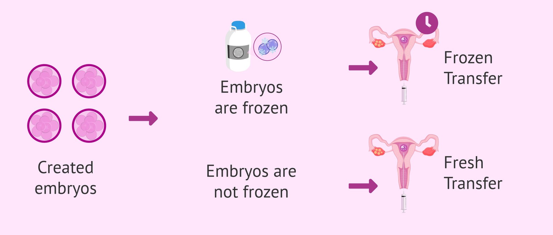 IVF Success Rates by Age and Number of Embryos ClinicSpots