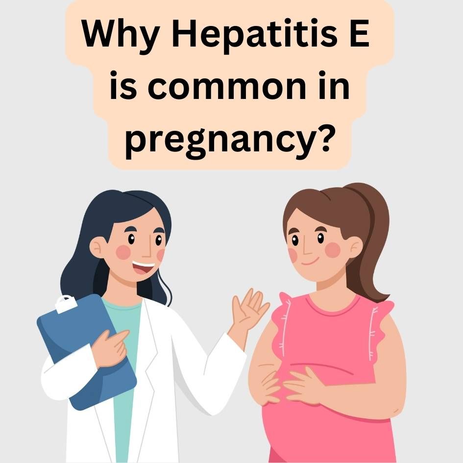 Why hepatitis E is common in pregnancy?