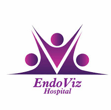 Endo Viz Hospitals Endo Viz Hospitals