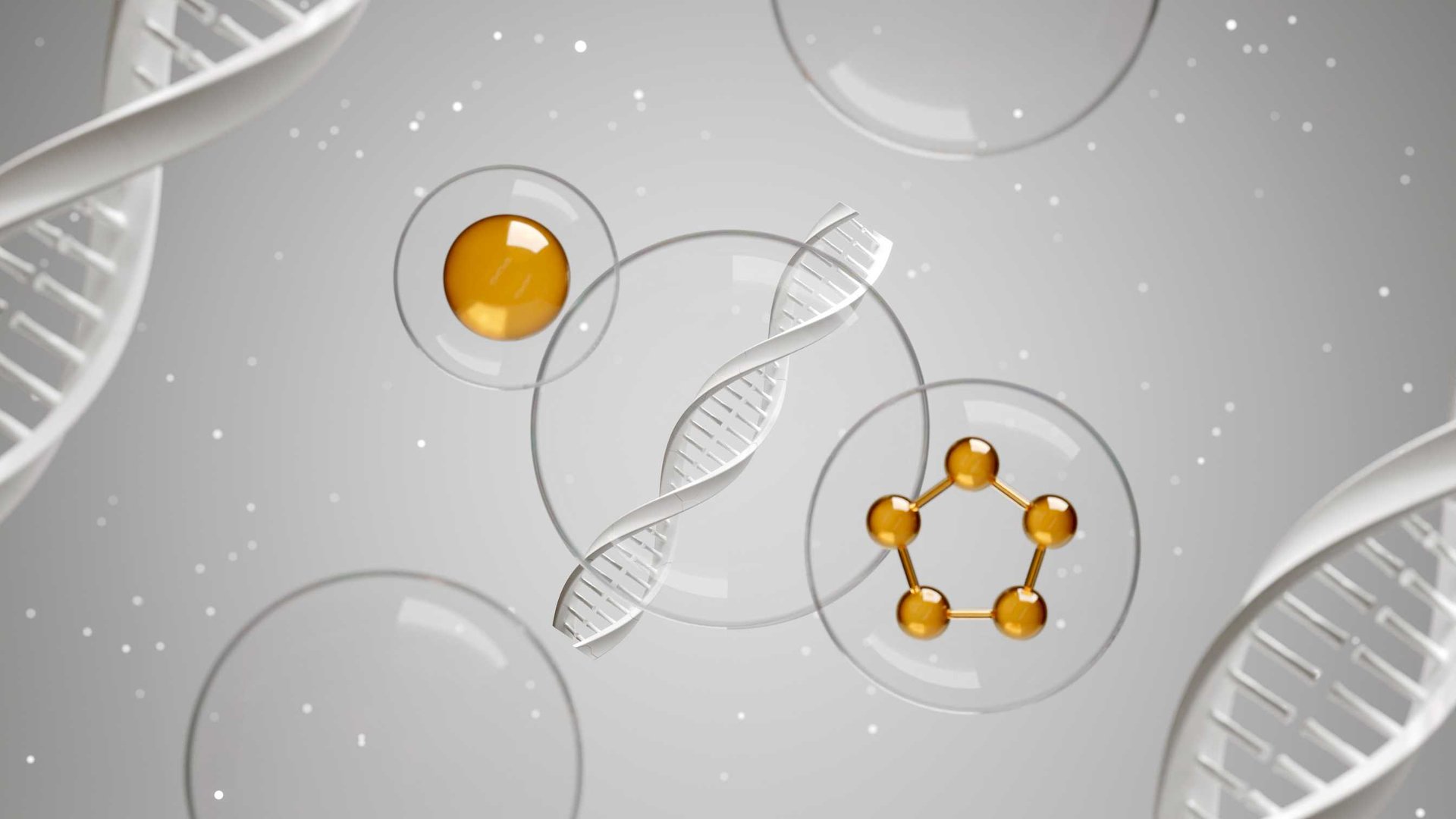 Stem Cell Therapy