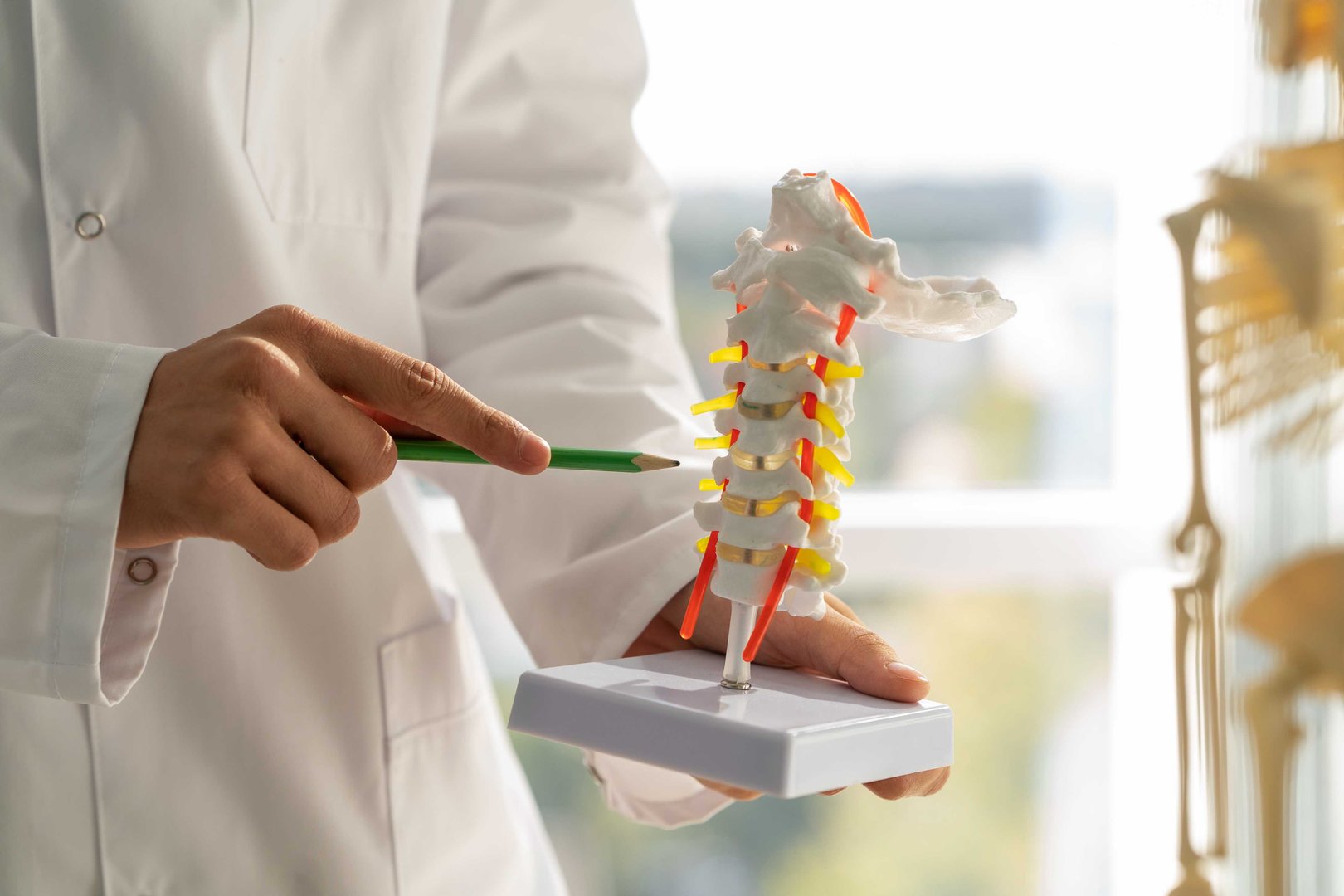 Stem Cell Therapy
