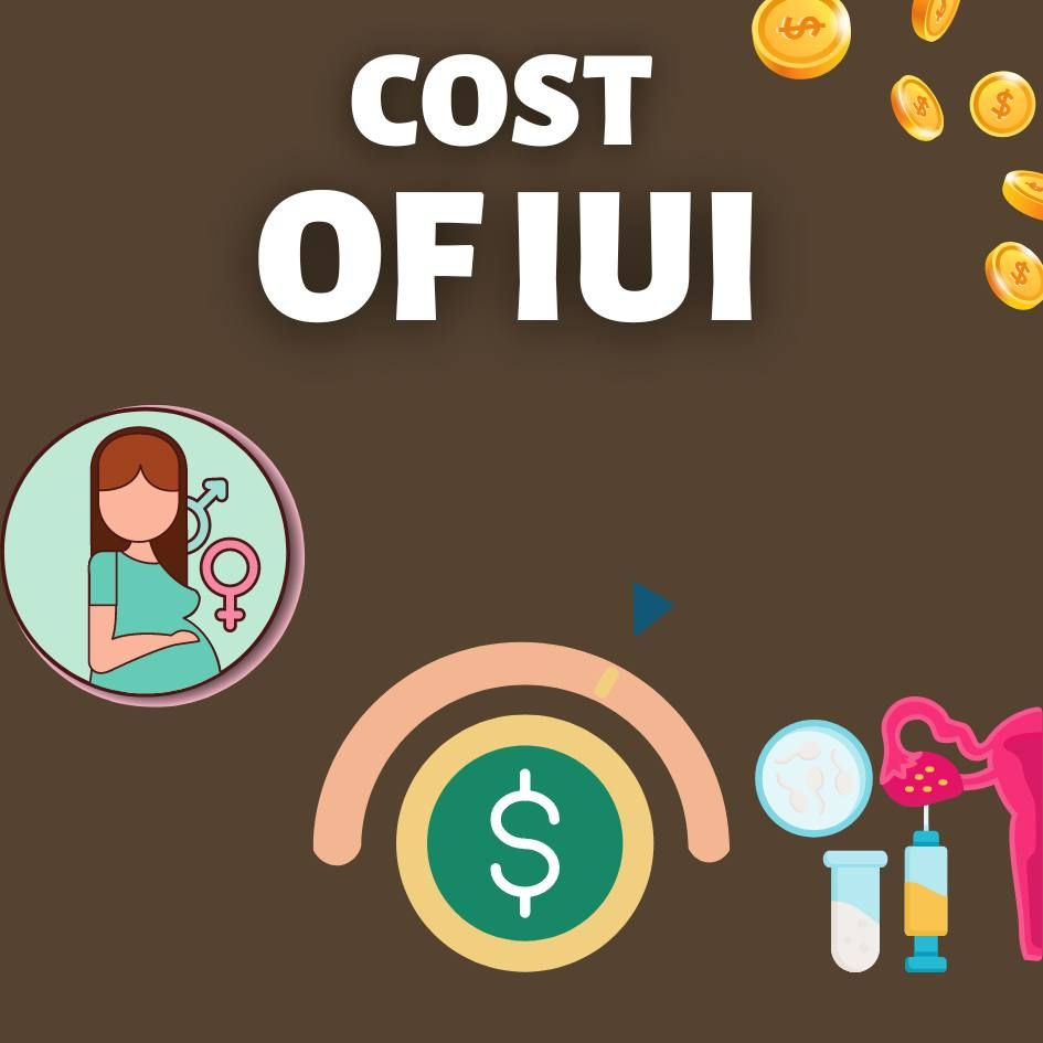 cost of iui