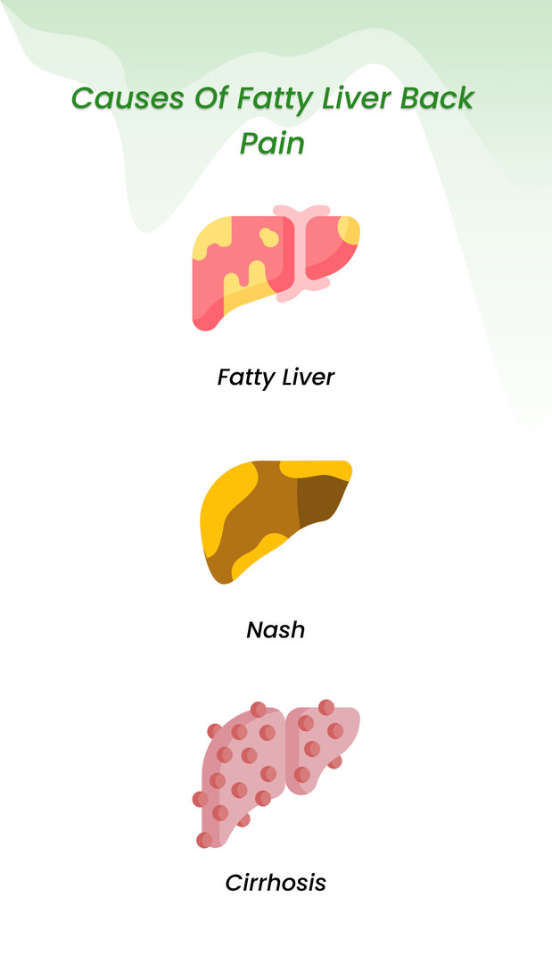 cause of fatty liver back pain