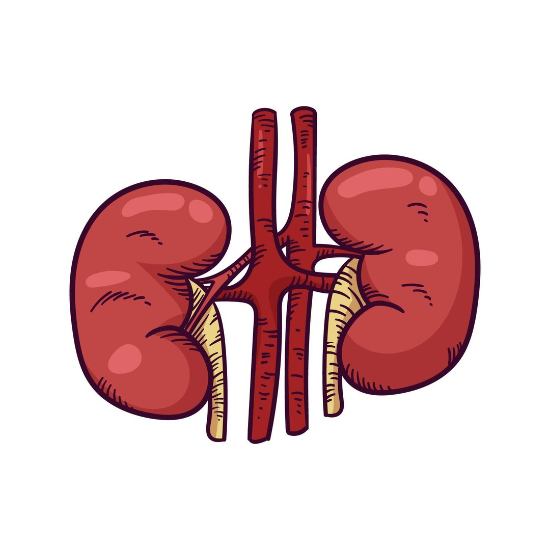 Kidney Failure
