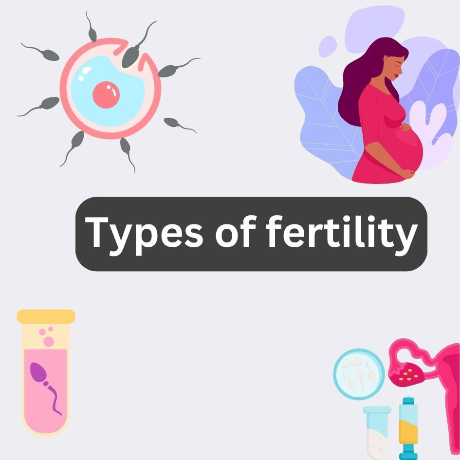types of fertility