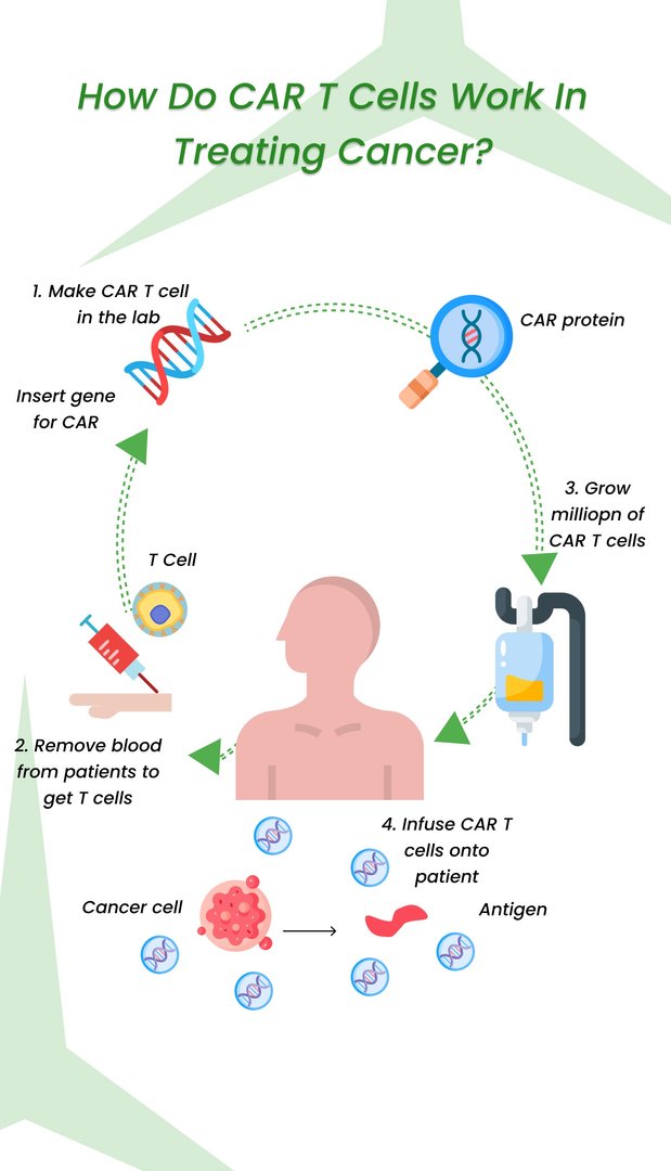 How do CAR-T cells work in treating cancer?