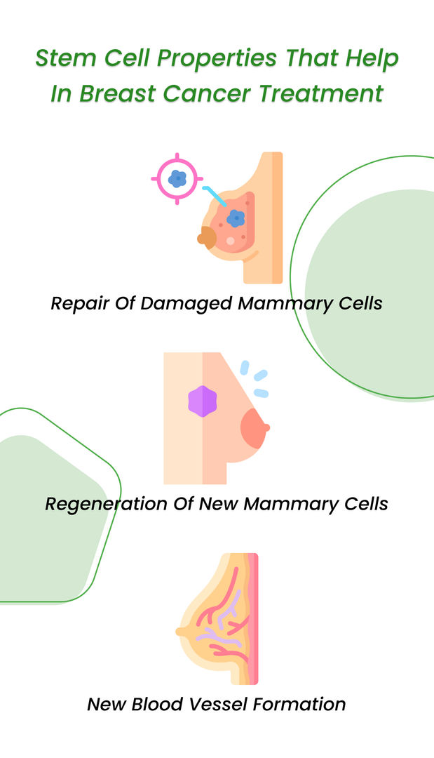 Stem cell properties that help in breast cancer treatment