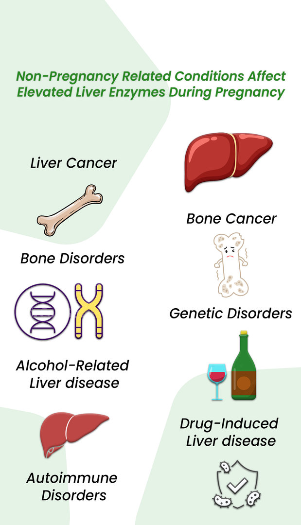 non-pregnancy related conditions that cause elevated liver enzymes during pregnancy