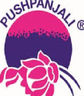 Pushpanjali Hi-Tech Rehab Center