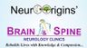 Neuroorigins Brain And Spine's logo