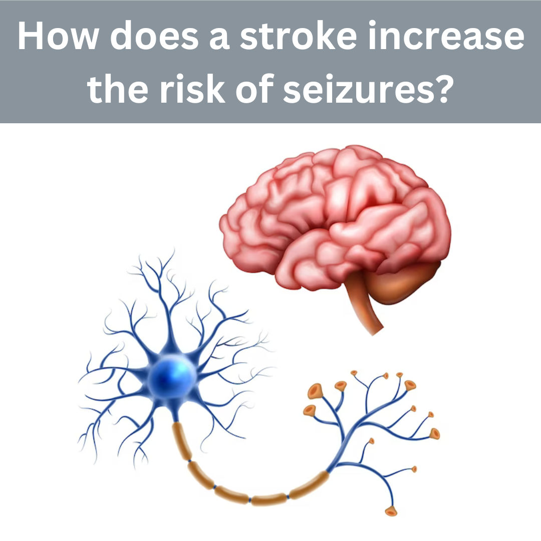 How does a stroke increase the risk of seizures