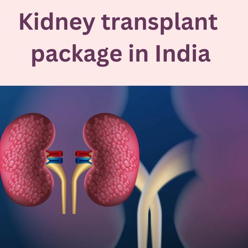 Kidney Transplant in India Package
